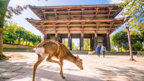 JR Kansai Wide Area Railway Pass 3 Days [For Foreign Residents in Japan] (e-ticket) Transport Passes