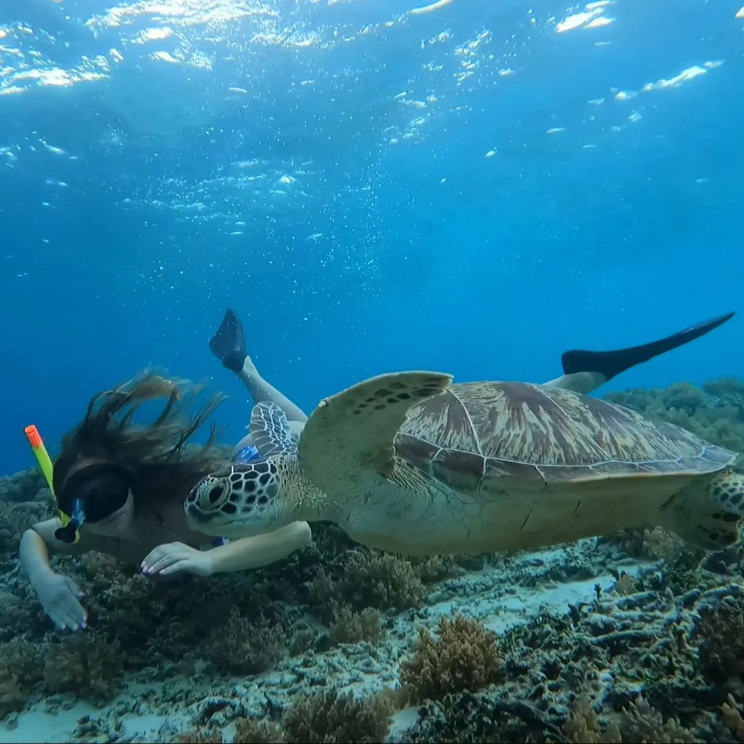 Snorkling tour in gili air island Lombok