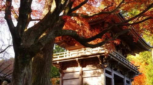 Hayao Miyazaki Anime Pilgrimage