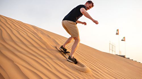 Self-Arrival Desert Safari with Falcon Photo Day Tours
