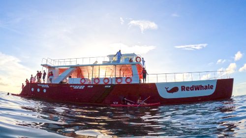Boracay Red Whale Party Cruise Day Tours