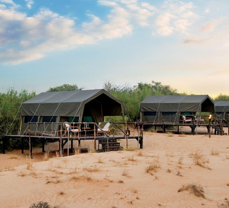 Dubai Overnight Desert Safari & fine dining at Nomad Garden