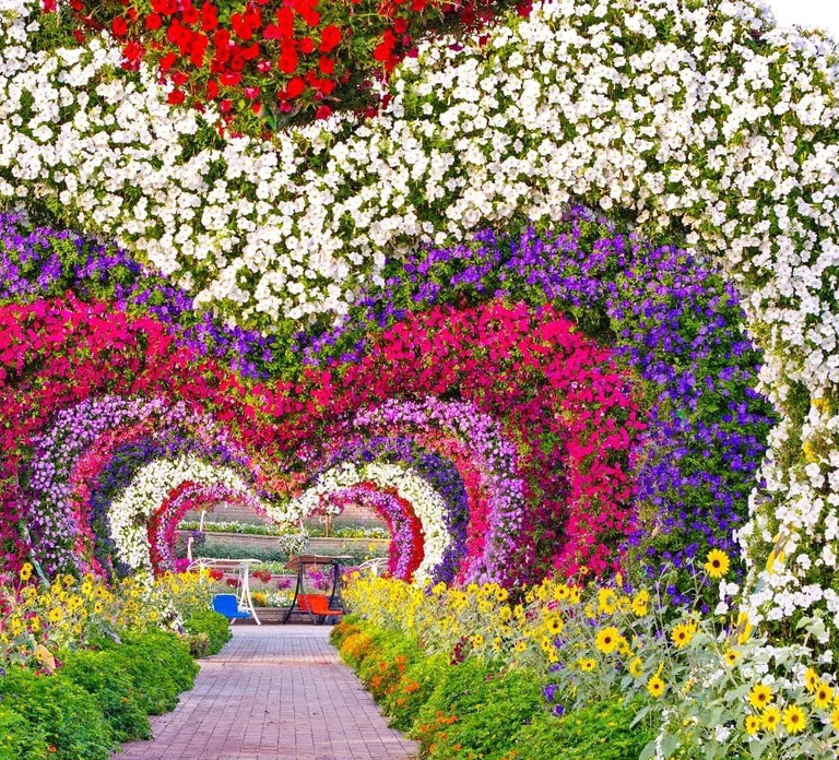 Dubai: Miracle Garden & Global Village with Transfers