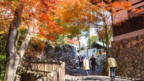 Nagoya Magome + Tsumago-juku + Inuyama Castle 1-day tour Day Tours