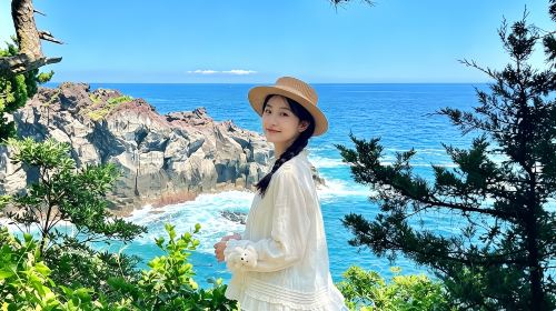Japan Tokyo Izu 1-day tour – Mt. Omuro, zoo, scenic train experience