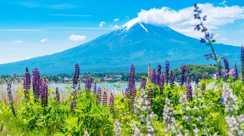 Iconic Fuji Adventure: Kawaguchiko, Stairway Town & Instagram Hotspots