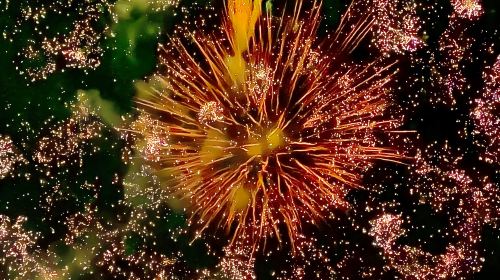 Osaka evening viewing of Tenjin Festival fireworks 1-day tour with Kyoto stroll, optional kimono experience Day Tours