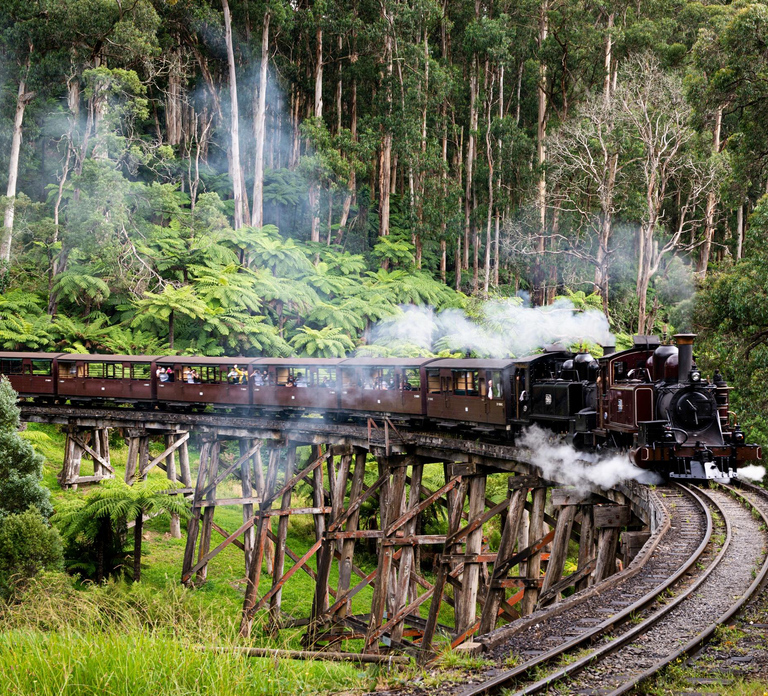 From Melbourne: Puffing Billy Train & Penguin Wildlife Tour