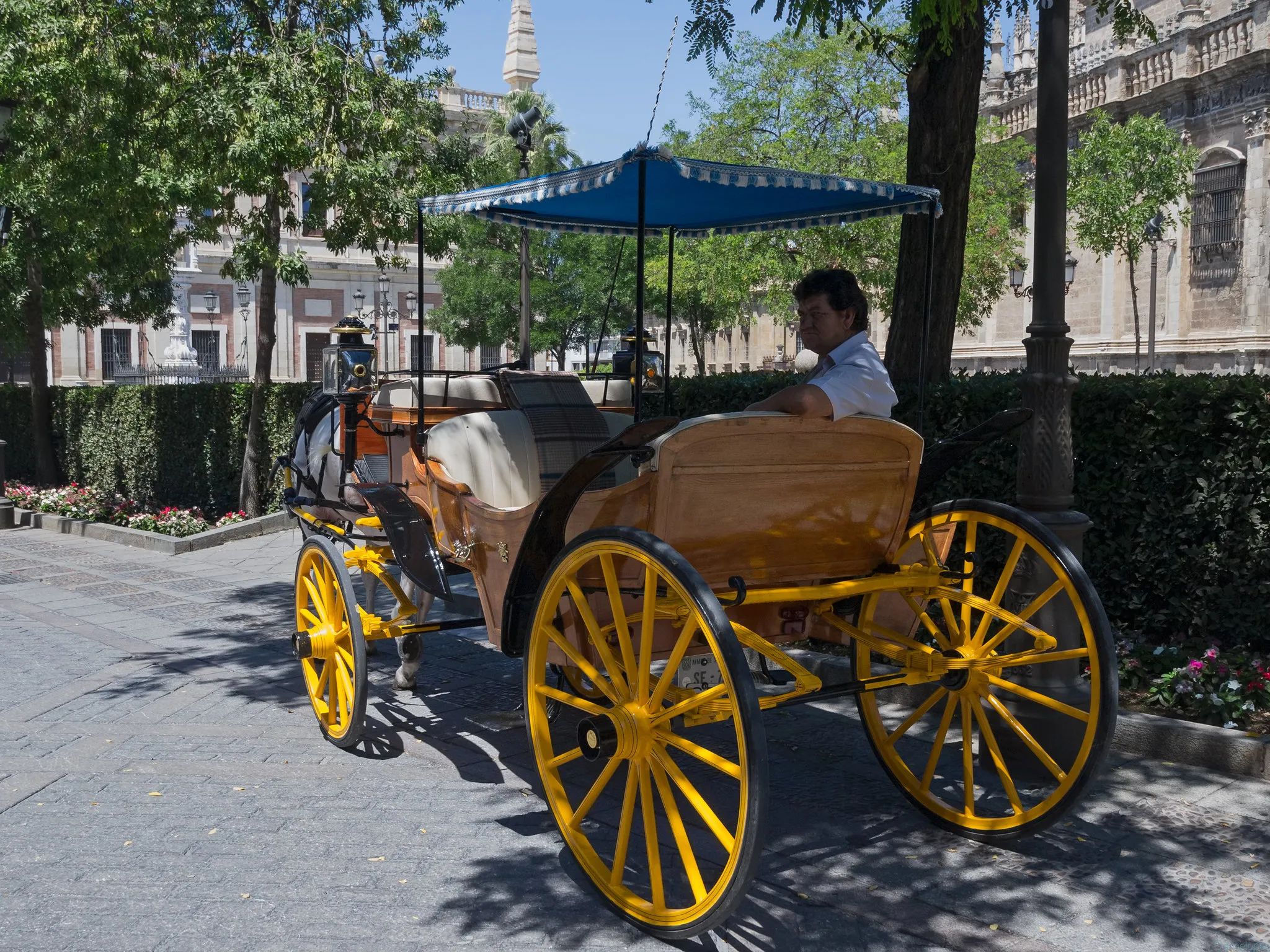 Carriage ride through in Seville
