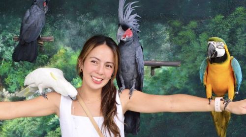 Clark Safari and Adventure Park