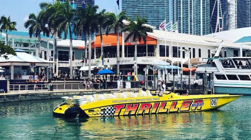 Speedboat Sightseeing Adventure of Miami
