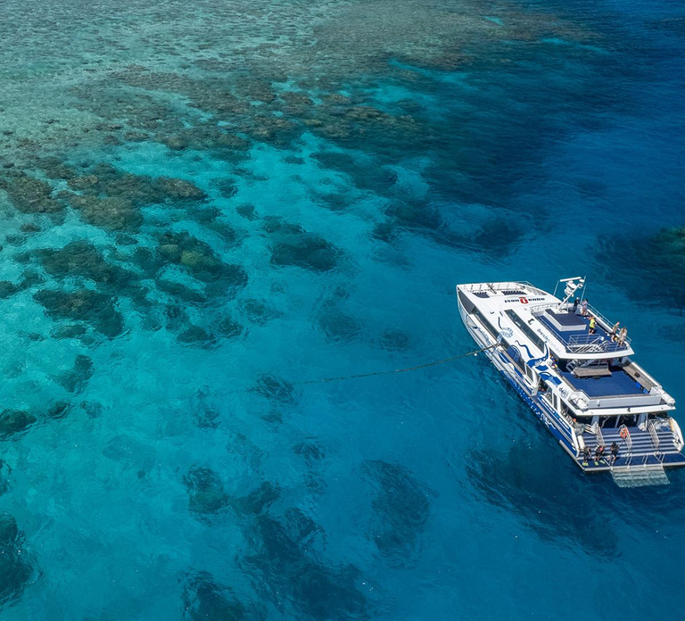 Cairns: Premium Snorkelling and Diving GBR Day Trip