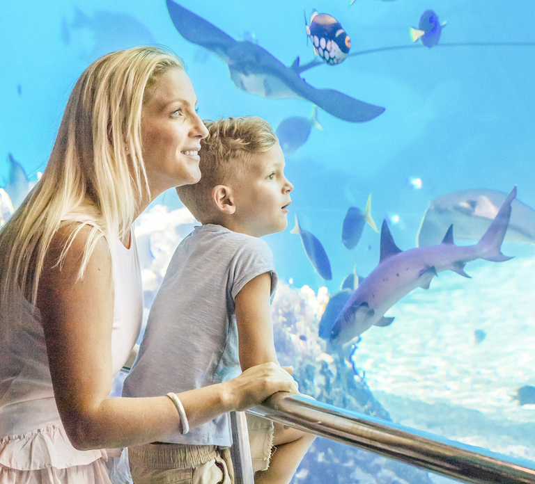 Gold Coast: Movie World, Sea World & Wet'n'Wild 7-Day Pass