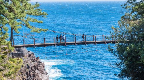 Tokyo Izu Mt. Omuro + Jogasaki Coast: 1-day tour to the filming location of "Your Name" and enjoy sea views Day Tours