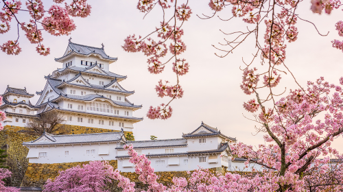Small group for 13 people · 1-day tour to Kobe, Himeji Castle, Mount Rokkō and Arima Onsen | optional hotel pick-up service