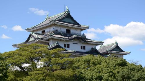 From Osaka | Wakayama Castle X Kuroshio Market X Tōdai-ji X Nara Park
