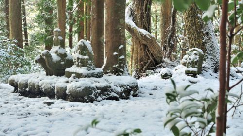 1-day tour from Osaka to world heritage Kumano-Kodo Nakahechi pilgrimage route