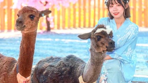 Yueyawan Farm