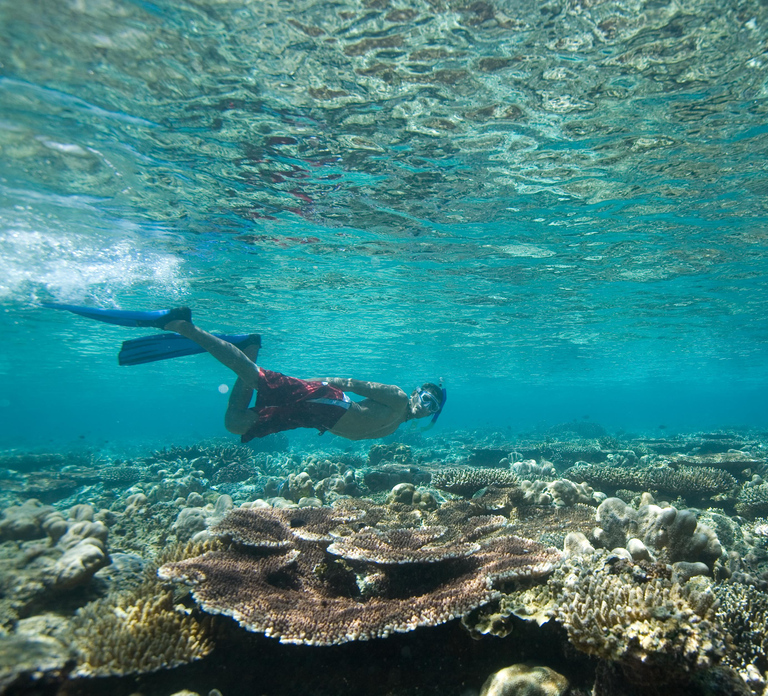 From Dubai: Discovery Scuba Diving & Snorkeling In Fujairah