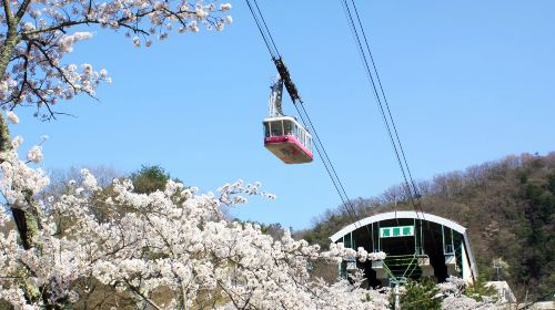 1-day tour to Beppu cable car: Dazaifu Tenmangu Shrine, Yufuin, Lake Kinrin and flower village Day Tours