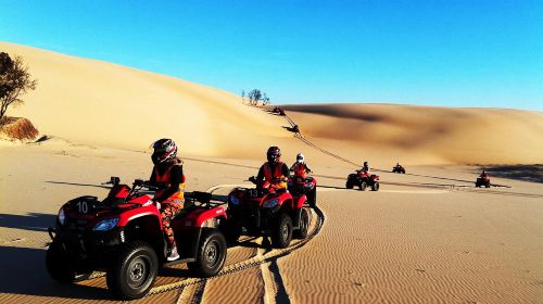 Quad Bike Tour with Dinner Day Tours