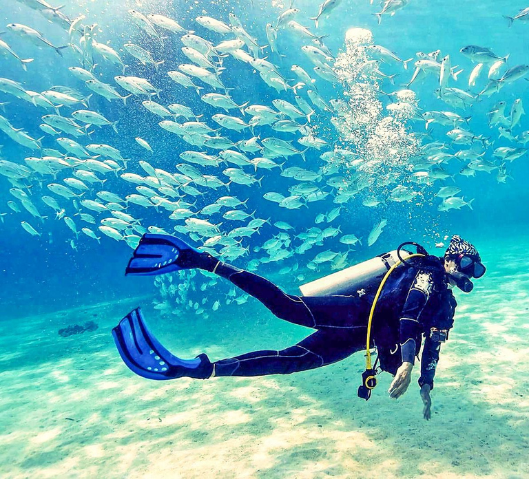 From Dubai: Fujairah Half-Day Scuba Dive and Snorkeling