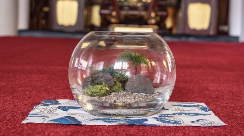 [Asakusa Jusen-in] Create your own mini Japanese garden | Moss art crafting experience