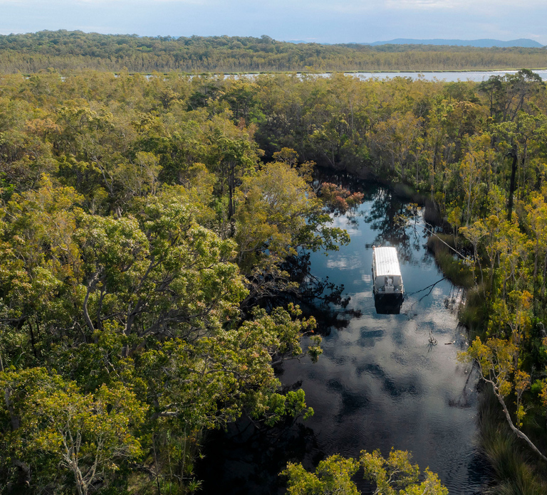 Noosa: Everglades Explorer Cruise