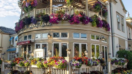Toronto to Niagara Falls In-Depth Small Group Tour w/Boat Option Day Tours