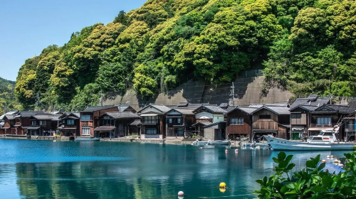 1-day tour to Amanohashidate (one of Kyoto's three scenic ocean views) and Ine funaya with Chinese/English guide