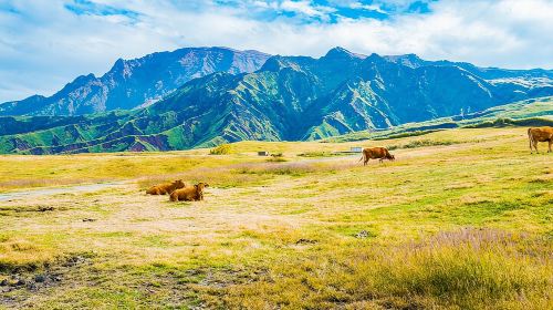 Kyushu: Aso Vocano, Grassland,Onsen and Aso shrine 1-Day Tour Day Tours
