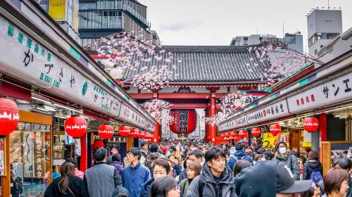 Tokyo: Half-Day Morning Small Group Tour Day Tours