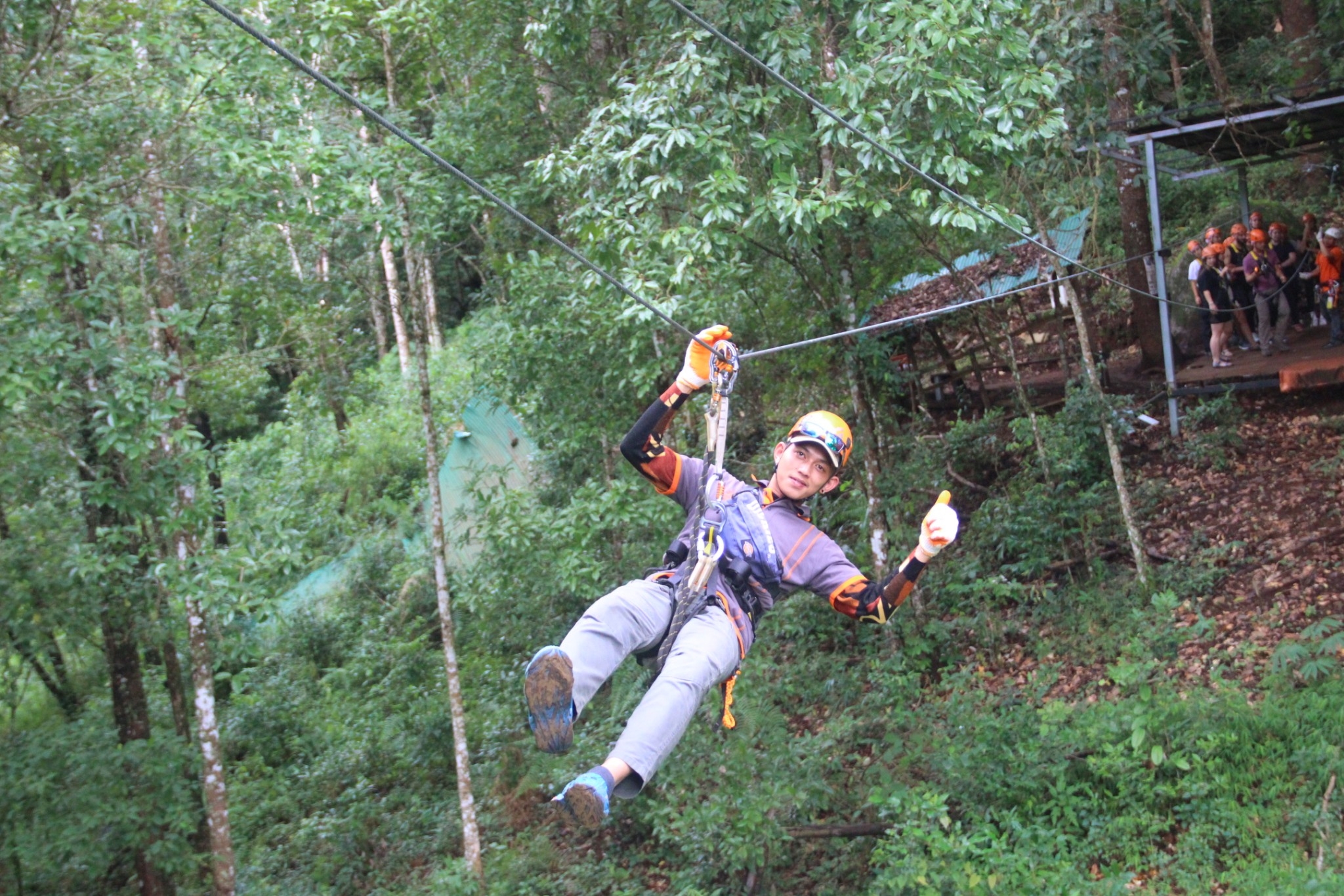 Skyline Jungle Luge