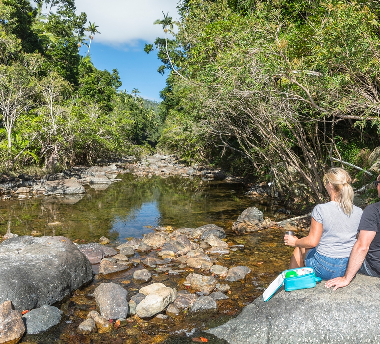 Airlie Beach: Segway Rainforest Discovery Tour