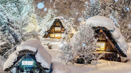 Nagoya + Shirakawa-go 1-Day Tour [Romantic Illumination in Shirakawa-go]|Hida Takayama|Optional for 9 people Day Tours