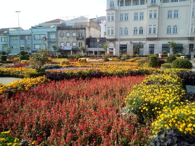 Tour Image 5