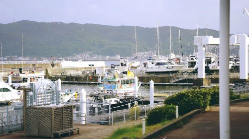 1-day tour to Mt. Omuro + Jogasaki Coast + coastal highway in Izu, Japan