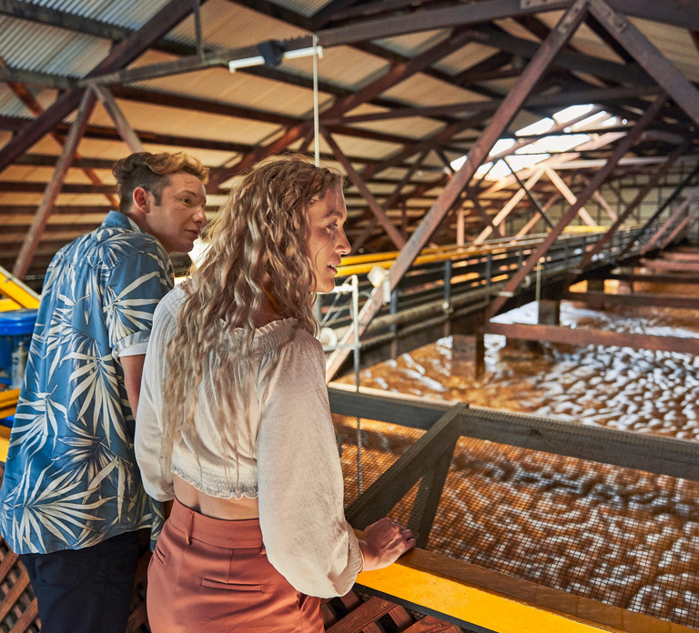 Bundaberg; Bundaberg Rum Distillery Tour and Tasting