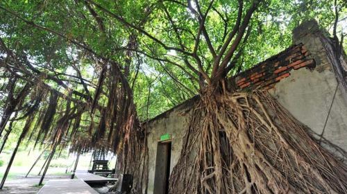 Tainan highlights one-day tour with shared transportation – Depart from Kaohsiung