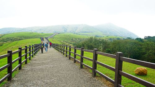 Yangmingshan Xiaoyoukeng + Qingtiangang + Shilin Residence + Martyrs' Shrine one-day tour Day Tours