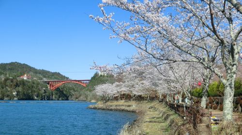 Japan 1-day tour to Eiho-ji + Magome + Tsumago-juku + Ena Kyo Observation Deck