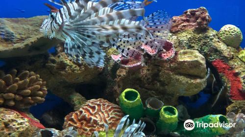 Manila Ocean Park
