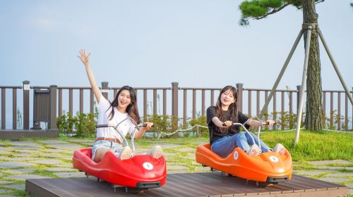 Incheon Day Tour from Seoul: Ganghwa Luge & Korean Meal Day Tours
