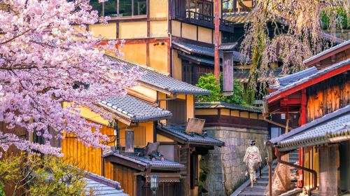 Optional small group for 9 people · 1-day tour to Osaka, Kyoto and Nara