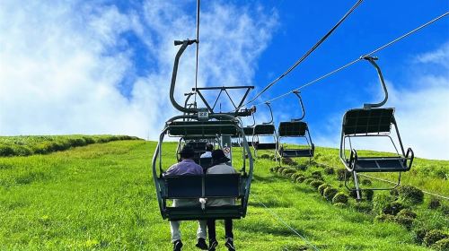 Izu Omuroyama Day Tour from Tokyo: Mt. Omuro, Shaboten Zoo & Jogasaki Coast
