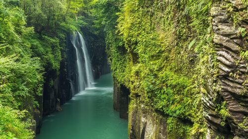 From Fukuoka: Miyazaki, Takachiho Gorge And Shrine Day Tour Day Tours