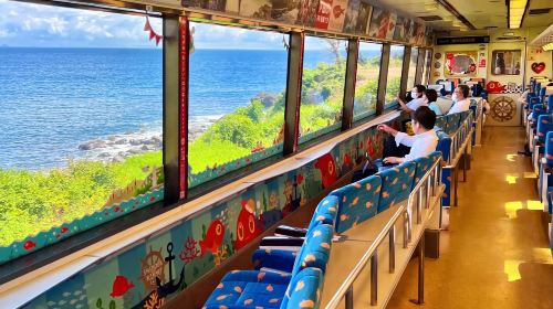 1-day tour to Jogasaki Coast, Mt. Omuro and the Seaside Train in Izu, Japan