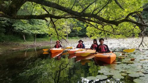 Tottori City Pass|Enjoy Tottori|Tottori Fun Pass 1 Week Free Pass