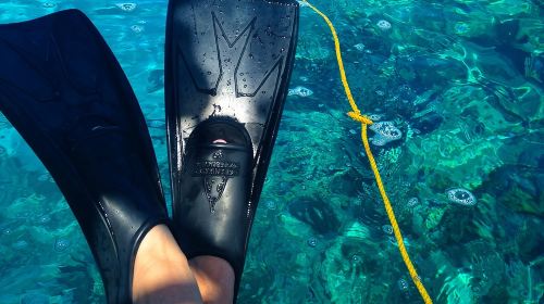 Key West Reef Snorkel & Sail Adventure