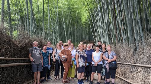 Kyoto Arashiyama Bamboo, Temple, Monkey or Local Mountain Brewery Day Tours